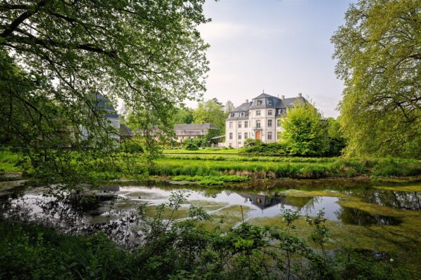 castle, park, wetland, swamp, nature, spring, landscape, schloss türnich, castle, castle, castle, castle, castle, swamp, swamp, swamp, spring, spring